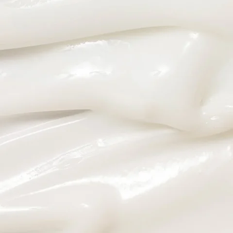 Dynasty Cream_1