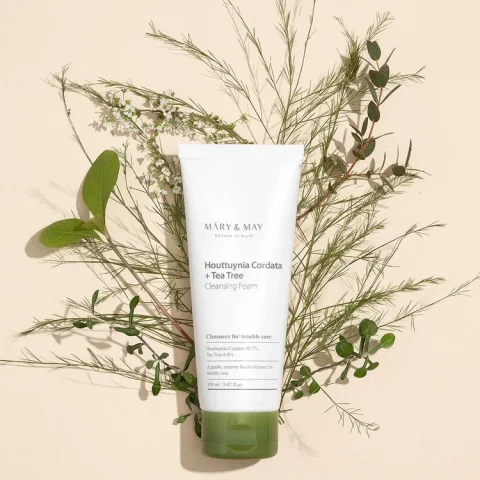 Houttuynia Cordata + Tea Tree Cleansing Foam_1